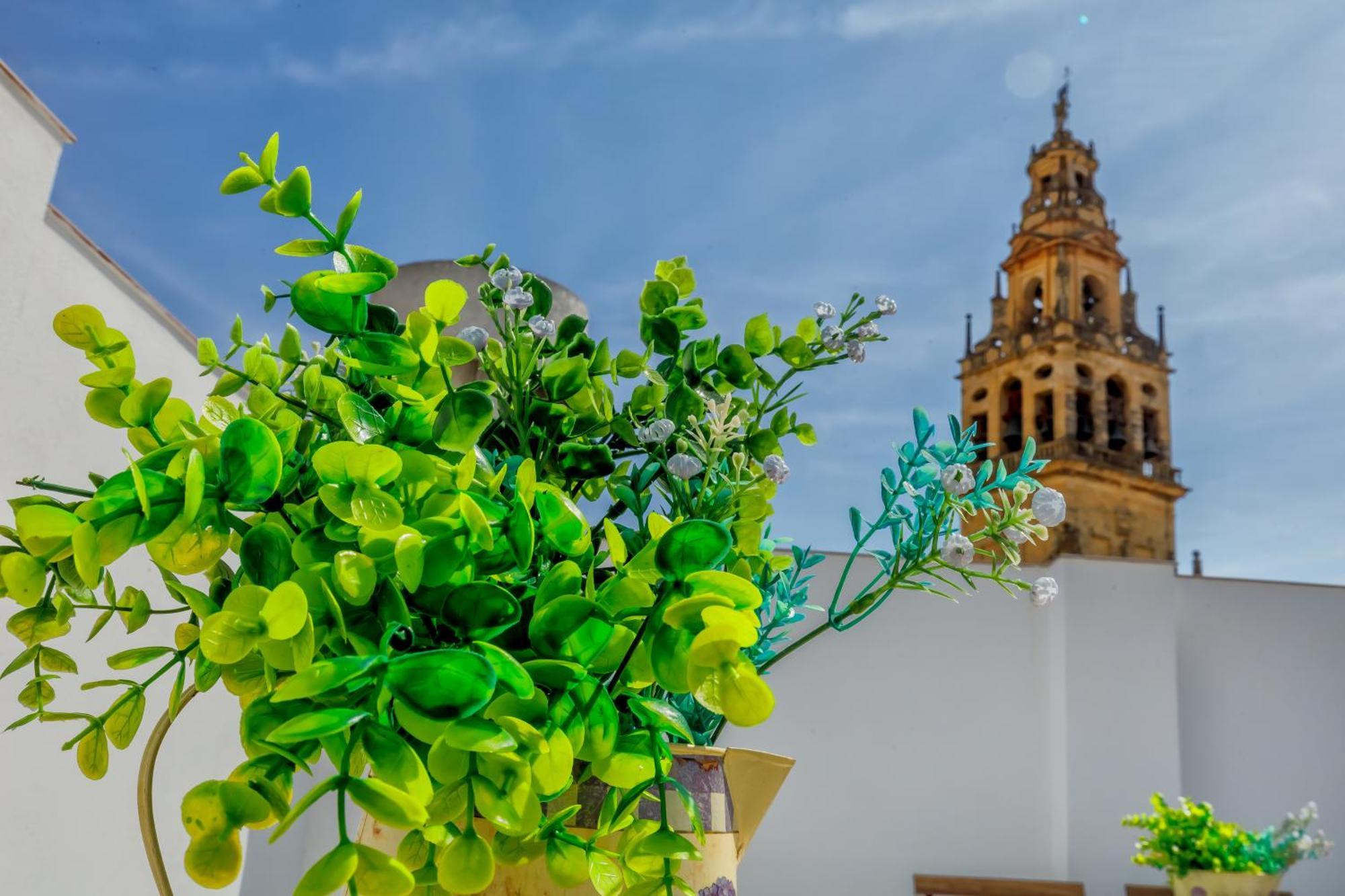 Apartamentos Deanes & Casco Historico Кордова Екстер'єр фото